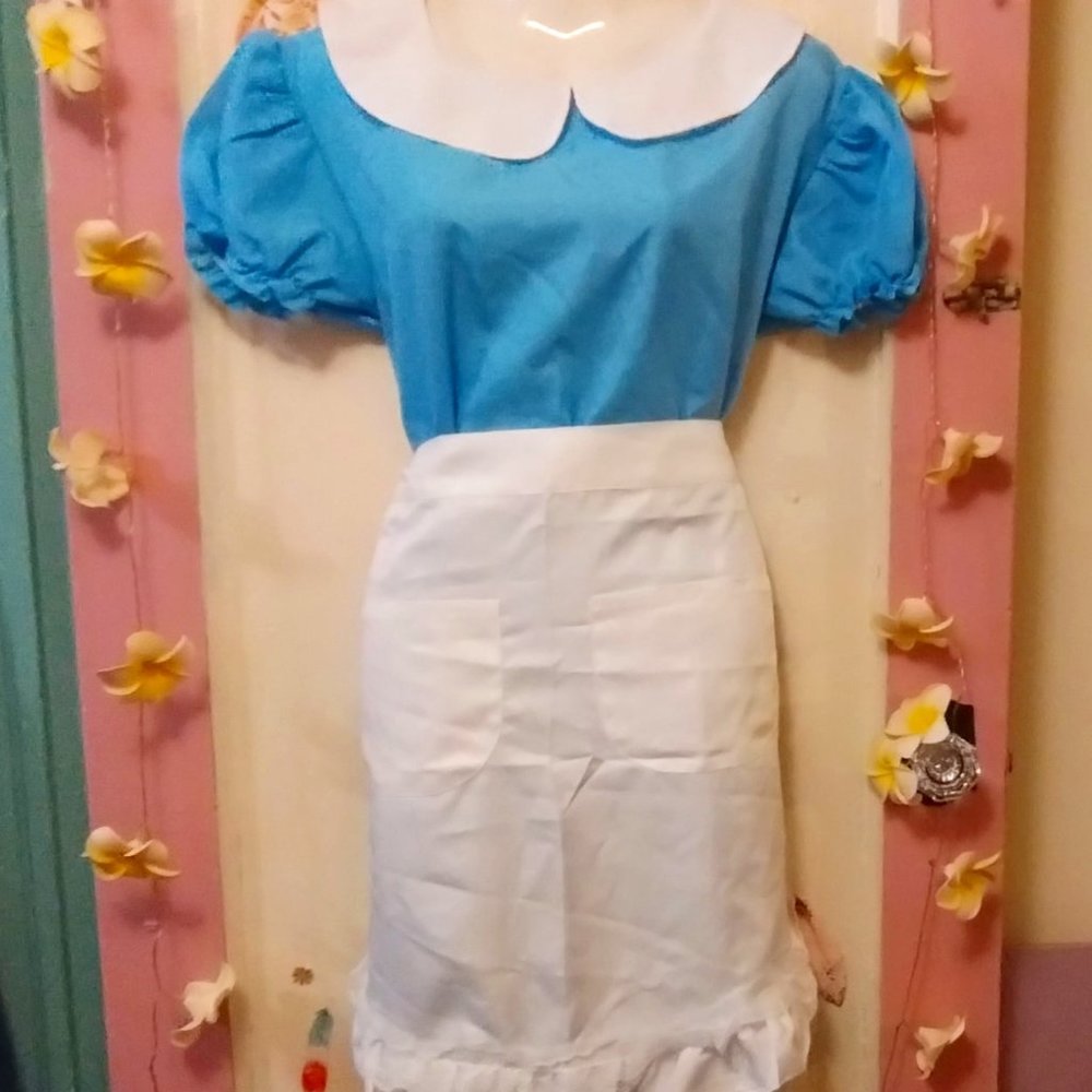Fun Shack (M) French Maid in Blue with Apron - Picture 2 of 13